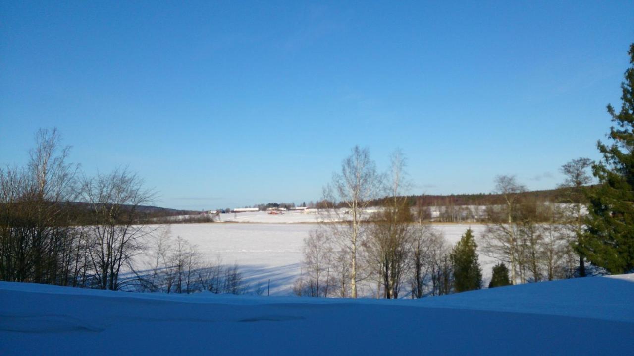 Apartment Roeda Stugan Hedemora